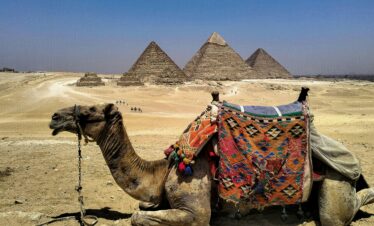 A camel with colorful saddle rests in front of the iconic Pyramids of Giza under a clear blue sky.
